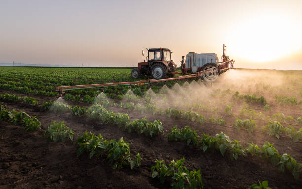 Best Pest Prevention Services  in Labarque Creek, MO