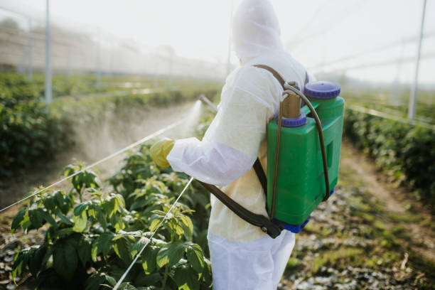 Reliable Labarque Creek, MO Pest Control Solutions